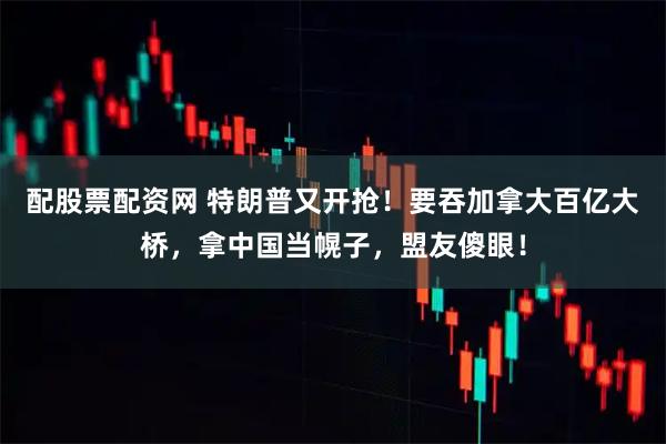 配股票配资网 特朗普又开抢！要吞加拿大百亿大桥，拿中国当幌子，盟友傻眼！