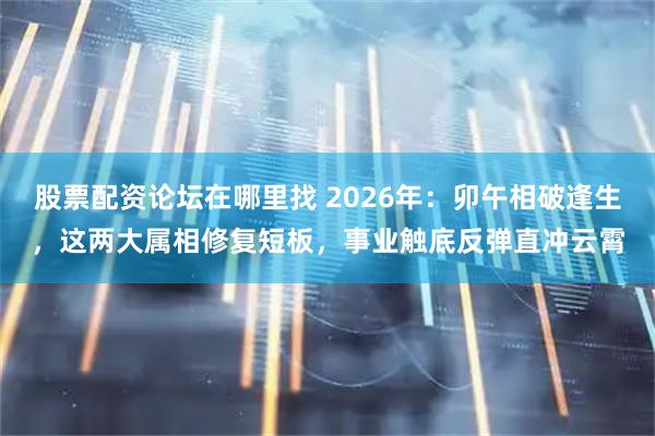 股票配资论坛在哪里找 2026年：卯午相破逢生，这两大属相修复短板，事业触底反弹直冲云霄